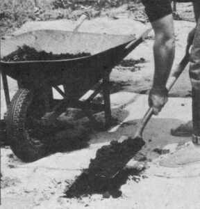 Use Carpet as Garden Mulch Image